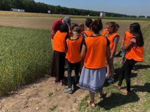 Kinderen komen op de kavel om te leren over de agro food sector
